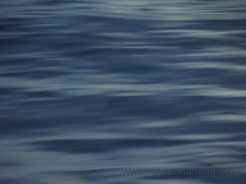 Nikon S8200 039.JPG